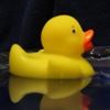 sirduckly
